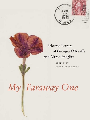 My Faraway One book