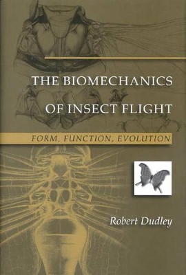 Biomechanics of Insect Flight book