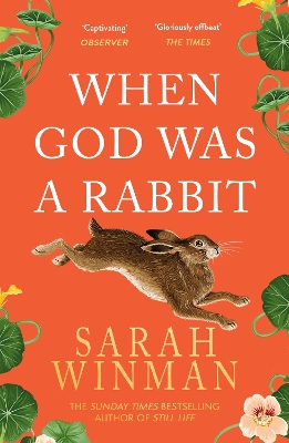 When God was a Rabbit book