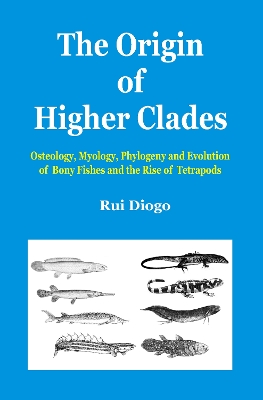 Origin of Higher Clades by Rui Diogo