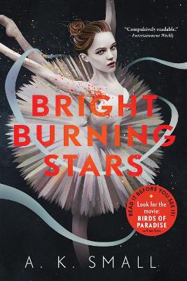 Bright Burning Stars book