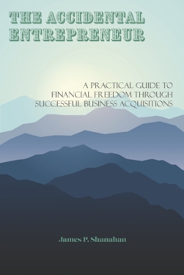 The Accidental Entrepreneur: A Practical Guide to Financial Freedom Through Successful Business Acquisitions book