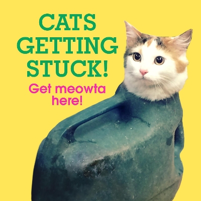 Cats Getting Stuck! book
