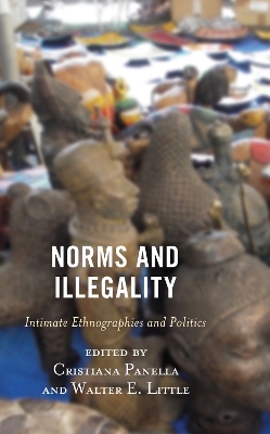 Norms and Illegality: Intimate Ethnographies and Politics book