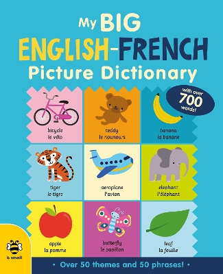 My Big English-French Picture Dictionary book