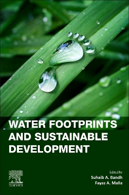 Water Footprints and Sustainable Development: Volume 8 book