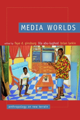 Media Worlds book