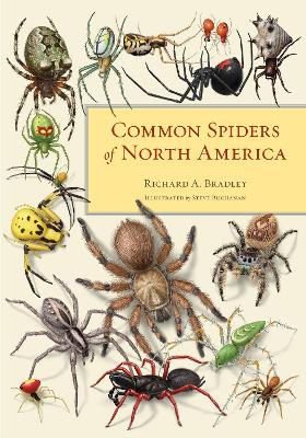 Common Spiders of North America book