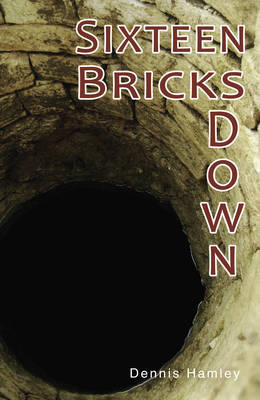 Sixteen Bricks Down book