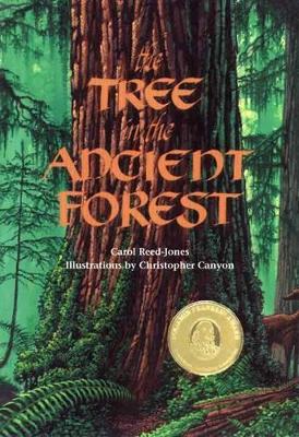 Tree in the Ancient Forest book
