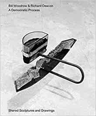 Bill Woodrow & Richard Deacon - a Democratic Process: Shared Sculptures and Drawings book