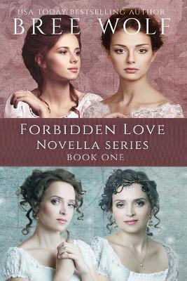 A Forbidden Love Novella Box Set One: Novellas 1 - 4 book