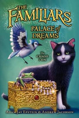 Palace of Dreams book