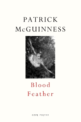 Blood Feather: ‘He writes with Proustian élan and Nabokovian delight’ John Banville book