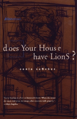 Does Your House Have Lions? book