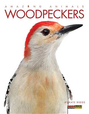 Woodpeckers by Kate Riggs