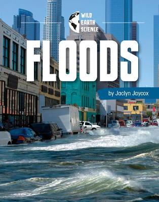 Floods book