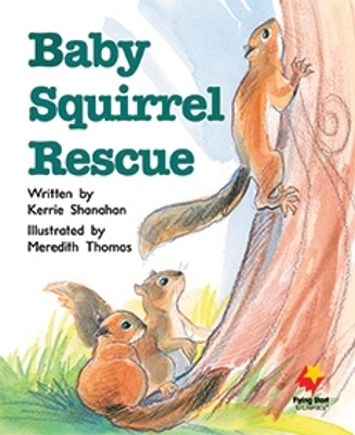 Baby Squirrel Rescue book