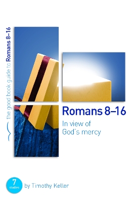 In View of God's Mercy book