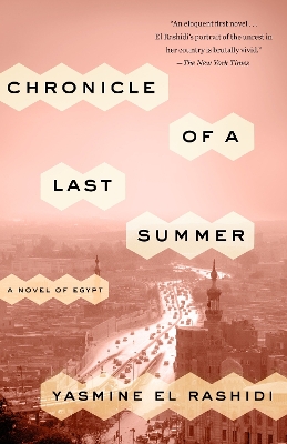Chronicle Of A Last Summer book