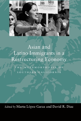 Asian and Latino Immigrants in a Restructuring Economy book