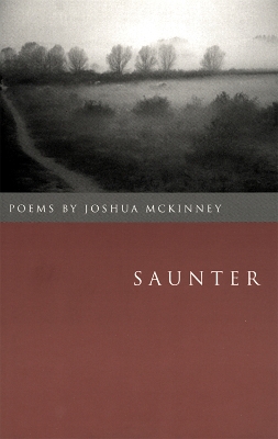 Saunter book