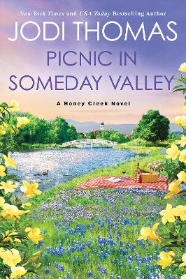Picnic in Someday Valley: A Heartwarming Texas Love Story book