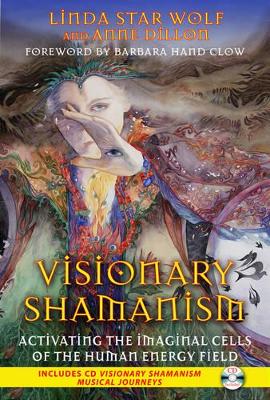 Visionary Shamanism book