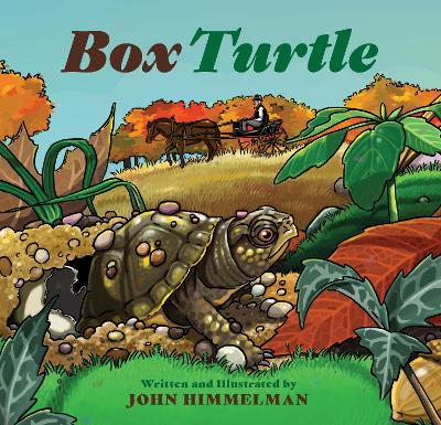 Box Turtle book