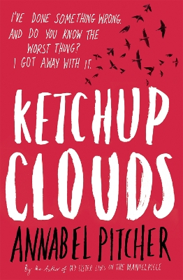 Ketchup Clouds by Annabel Pitcher