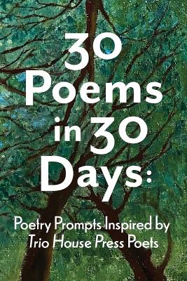 30 Poems in 30 Days: Poetry Prompts Inspired by Trio House Press Poets book