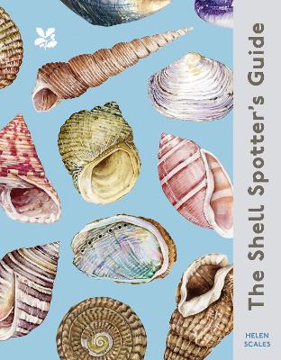 The Shell Spotter’s Guide (National Trust) book