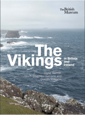 Vikings in Britain and Ireland book