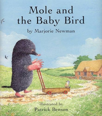 Mole and the Baby Bird by Marjorie Newman