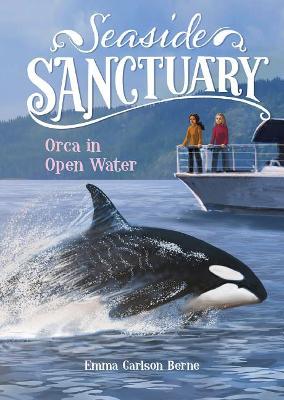 Orca in Open Water by Emma Carlson Berne