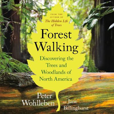 Forest Walking: Discovering the Trees and Woodlands of North America: Discovering the Trees and Woodlands of North America book