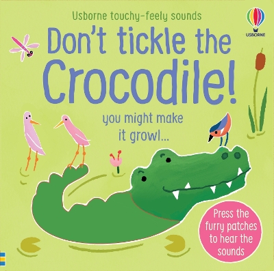 Don't Tickle the Crocodile! book