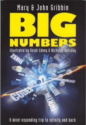 Big Numbers book