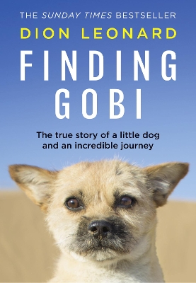 Finding Gobi (Main edition) book