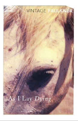 As I Lay Dying book