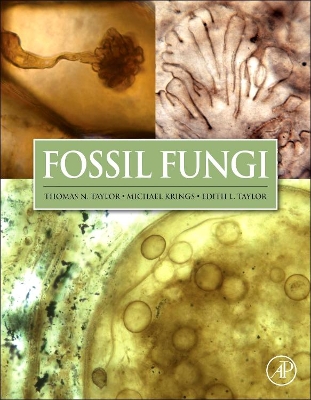 Fossil Fungi book