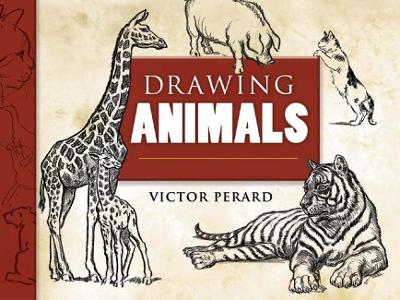 Drawing Animals book