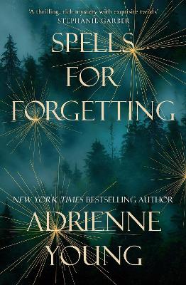 Spells for Forgetting: the spellbinding magical mystery, perfect for winter nights by Adrienne Young
