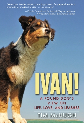 Ivan! book