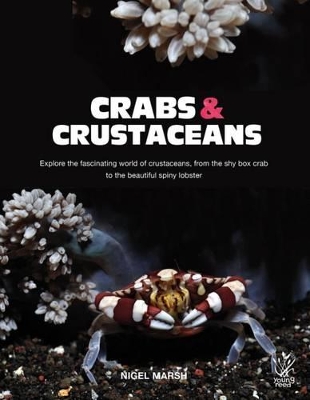 Crabs and Crustaceans book
