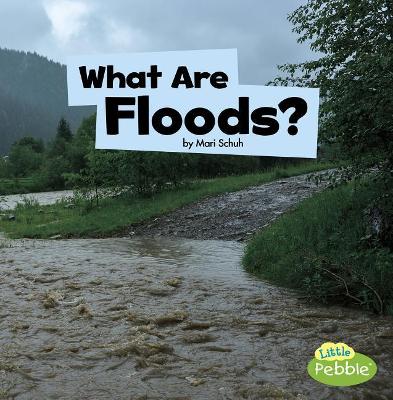 What Are Floods? book
