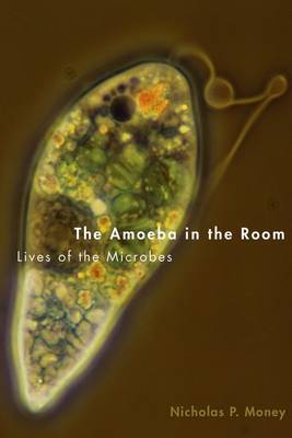 The Amoeba in the Room by Nicholas P. Money