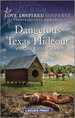 Dangerous Texas Hideout book