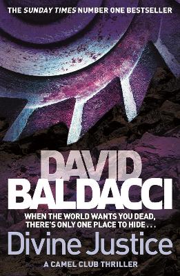 Divine Justice by David Baldacci