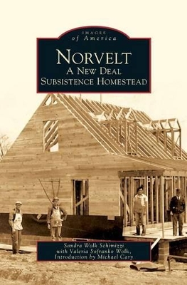 Norvelt book